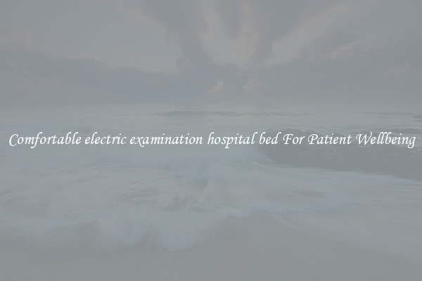 Comfortable electric examination hospital bed For Patient Wellbeing