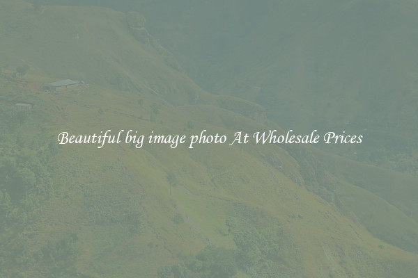 Beautiful big image photo At Wholesale Prices