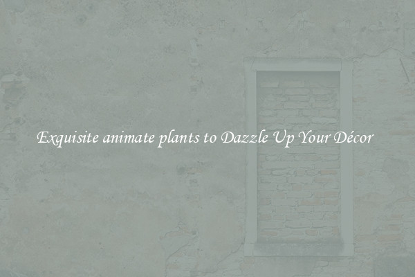 Exquisite animate plants to Dazzle Up Your Décor  