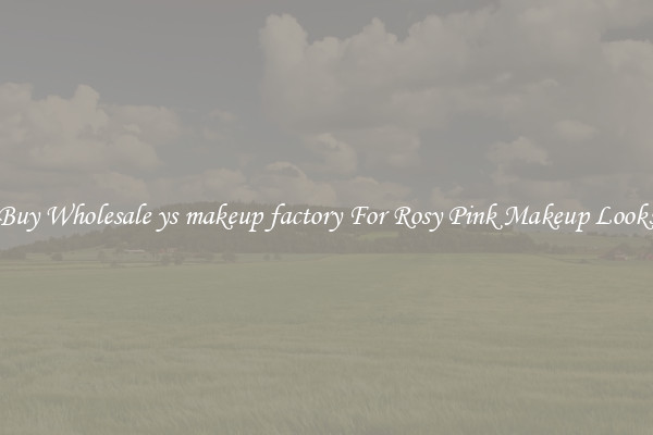 Buy Wholesale ys makeup factory For Rosy Pink Makeup Looks