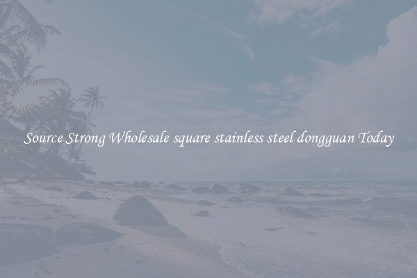 Source Strong Wholesale square stainless steel dongguan Today