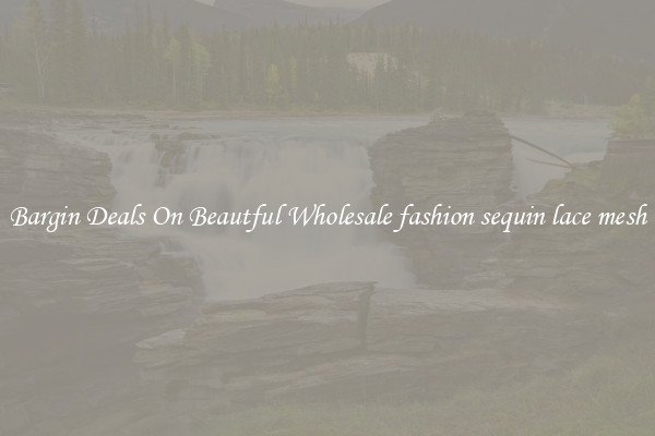 Bargin Deals On Beautful Wholesale fashion sequin lace mesh