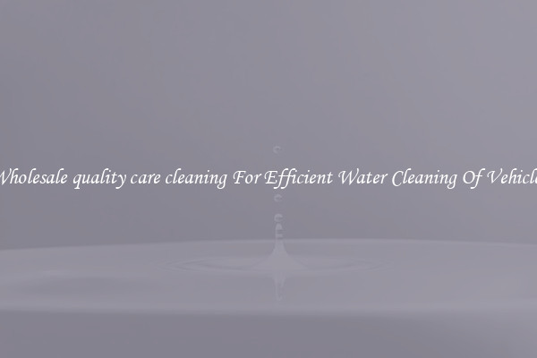 Wholesale quality care cleaning For Efficient Water Cleaning Of Vehicles