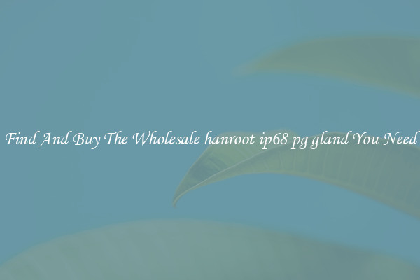 Find And Buy The Wholesale hanroot ip68 pg gland You Need