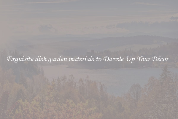 Exquisite dish garden materials to Dazzle Up Your Décor  