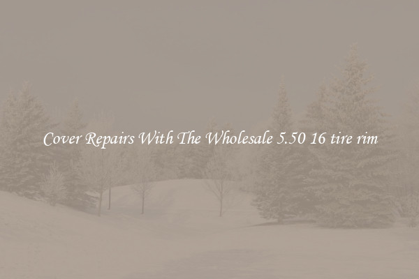  Cover Repairs With The Wholesale 5.50 16 tire rim 
