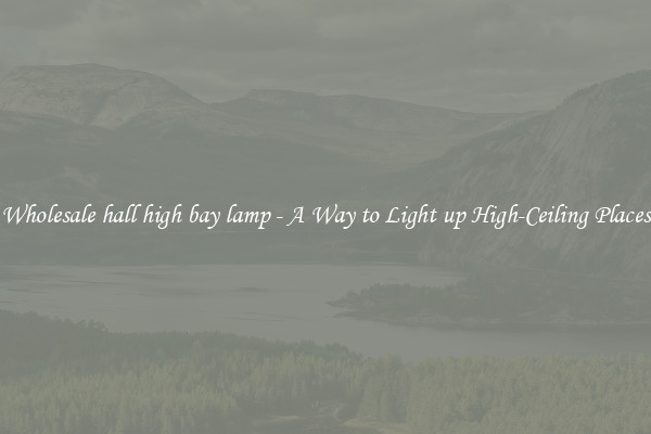 Wholesale hall high bay lamp - A Way to Light up High-Ceiling Places