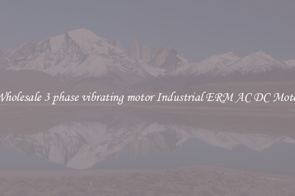 Wholesale 3 phase vibrating motor Industrial ERM AC DC Motor