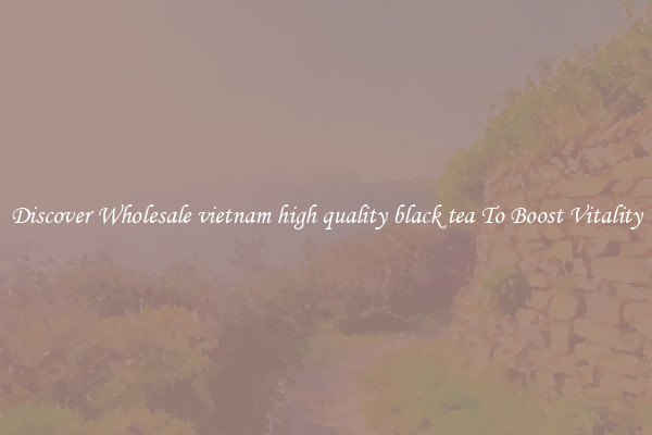 Discover Wholesale vietnam high quality black tea To Boost Vitality