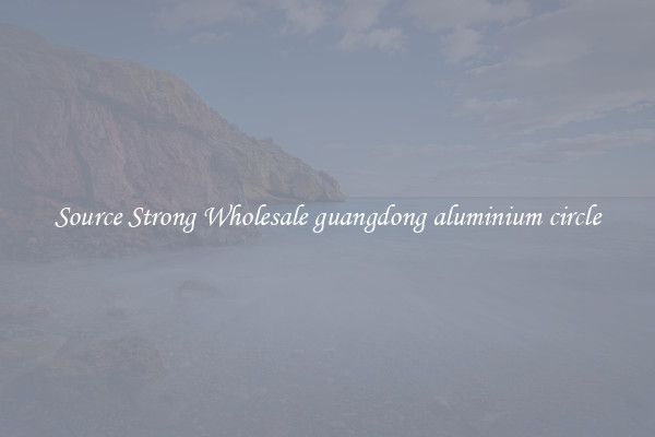 Source Strong Wholesale guangdong aluminium circle