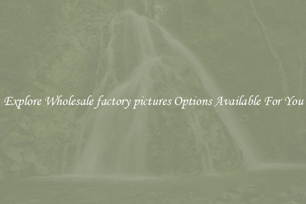 Explore Wholesale factory pictures Options Available For You