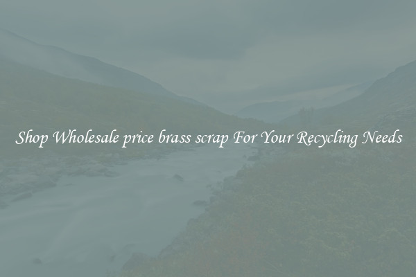 Shop Wholesale price brass scrap For Your Recycling Needs
