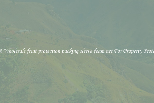 Get A Wholesale fruit protection packing sleeve foam net For Property Protection