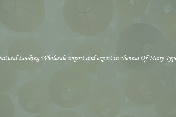 Natural Looking Wholesale import and export in chennai Of Many Types