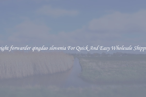 freight forwarder qingdao slovenia For Quick And Easy Wholesale Shipping
