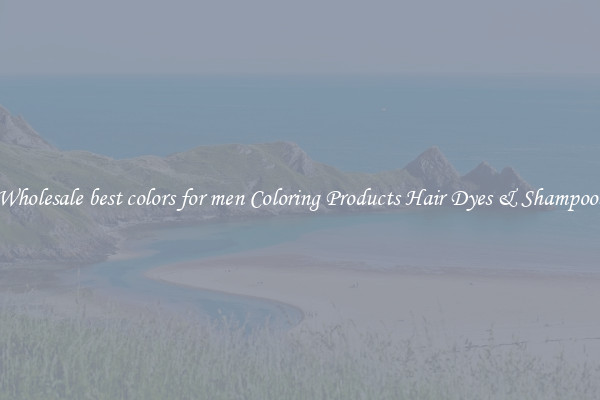 Wholesale best colors for men Coloring Products Hair Dyes & Shampoos