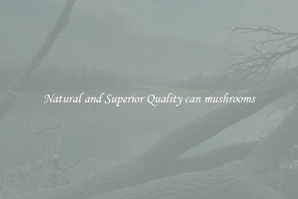 Natural and Superior Quality can mushrooms