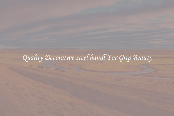 Quality Decorative steel handl For Grip Beauty