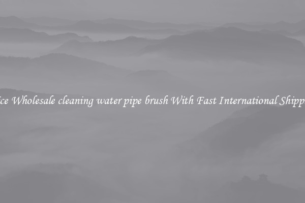 Nice Wholesale cleaning water pipe brush With Fast International Shipping