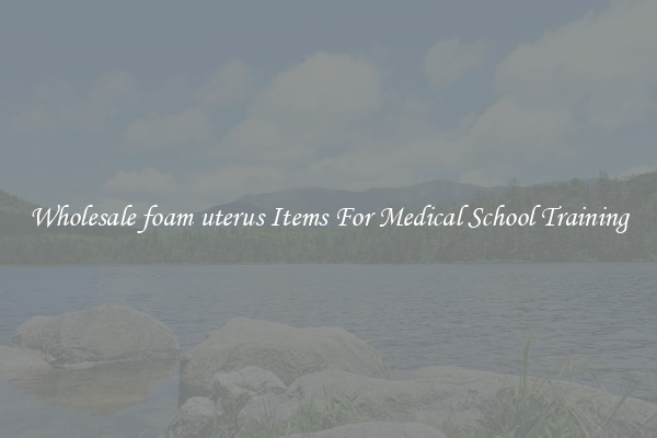 Wholesale foam uterus Items For Medical School Training
