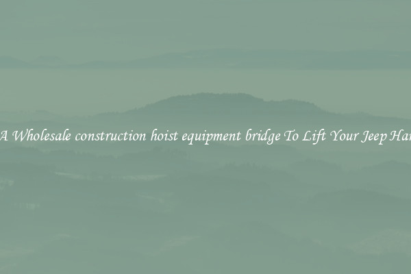 Get A Wholesale construction hoist equipment bridge To Lift Your Jeep Hardtop
