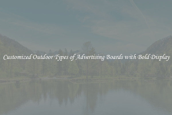 Customized Outdoor Types of Advertising Boards with Bold Display